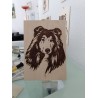 Langhaar Collie (Scottish Collie)