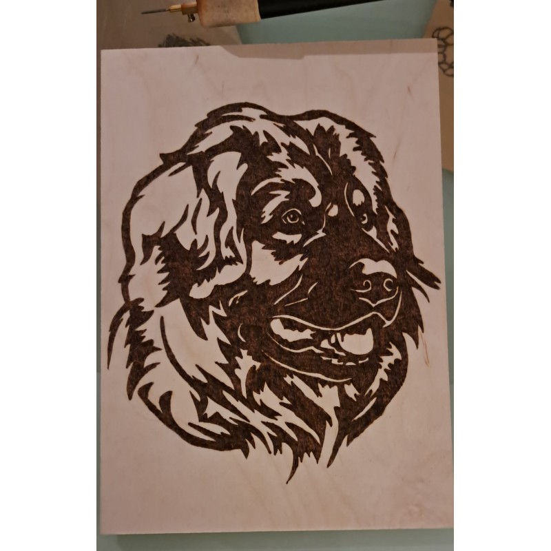 Leonberger
