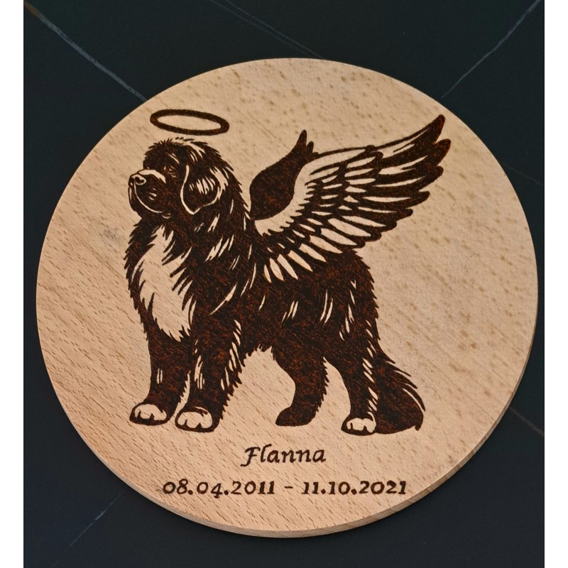 Newfoundland dog guardian angel