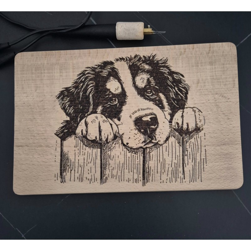 Little Berner is watching you - Modell Elise Kling