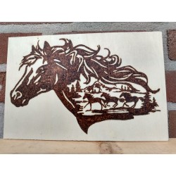 copy of Wild Pferde