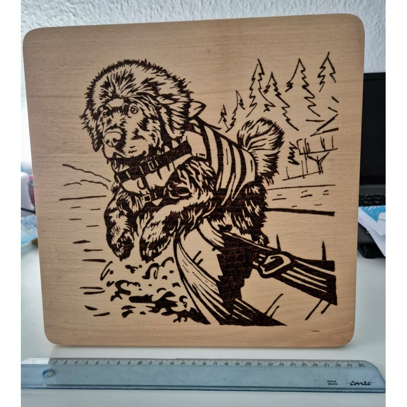 copy of Newfoundland dog guardian angel