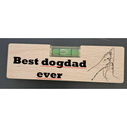 copy of Newfoundland dog...