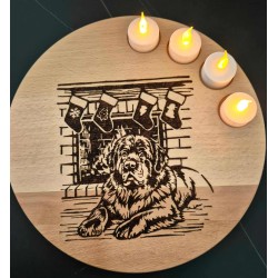 Neufi wartet auf Weihnachten