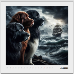 copy of Kalender 2024 - Quadratisch - schön - groß