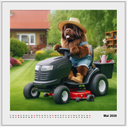 Kalender 2026 - Quadratisch - schön - groß - mit etwas anderen Bildern