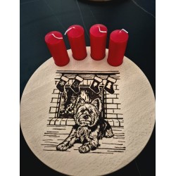 Yorkie wartet auf Weihnachten