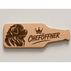 copy of Flaschenöffner MOIN