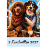 Kalender Landratten 2027